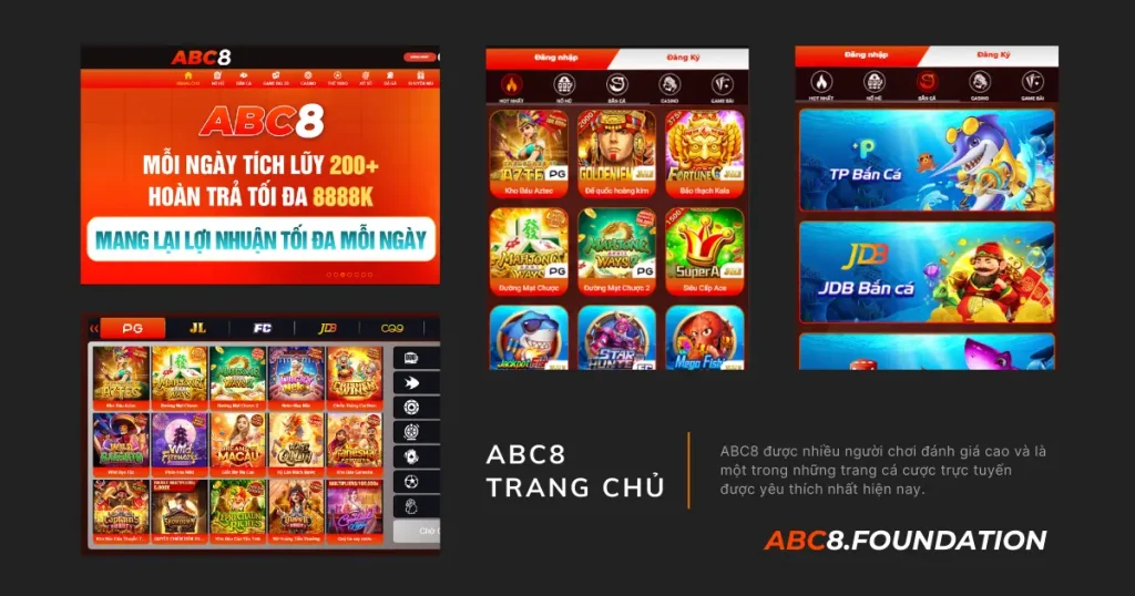 abc8.foundation-banner-website.webp